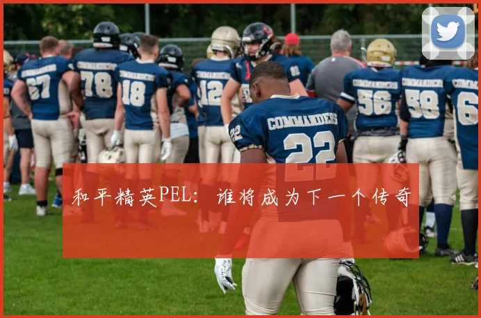 和平精英PEL:谁将成为下一个传奇